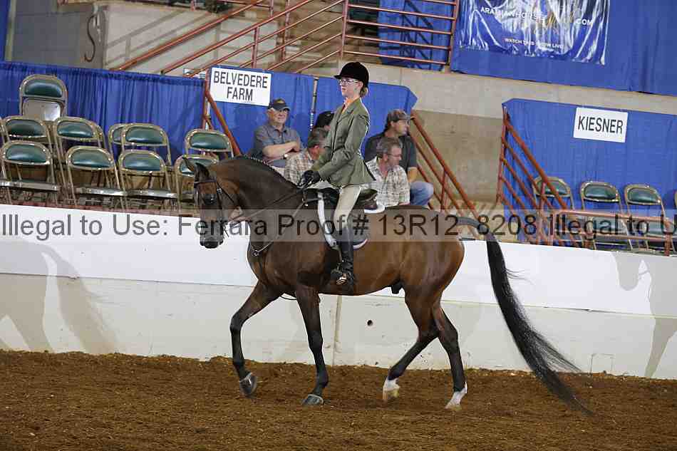 Proof 13r12_8208