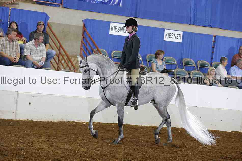 Proof 13r12_8210