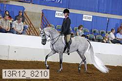 13r12_8210 proof