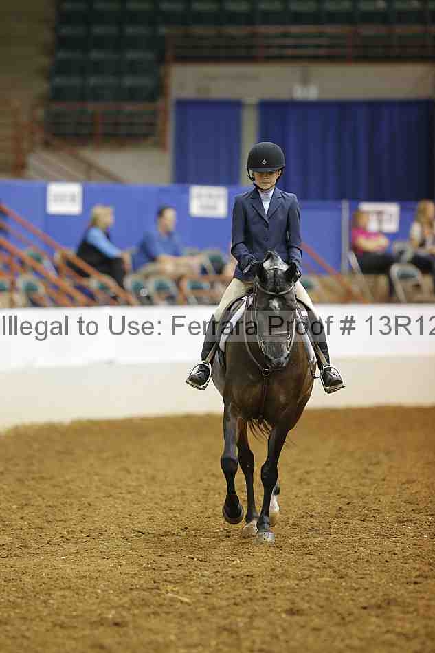 Proof 13r12_8211