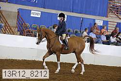 13r12_8212 proof