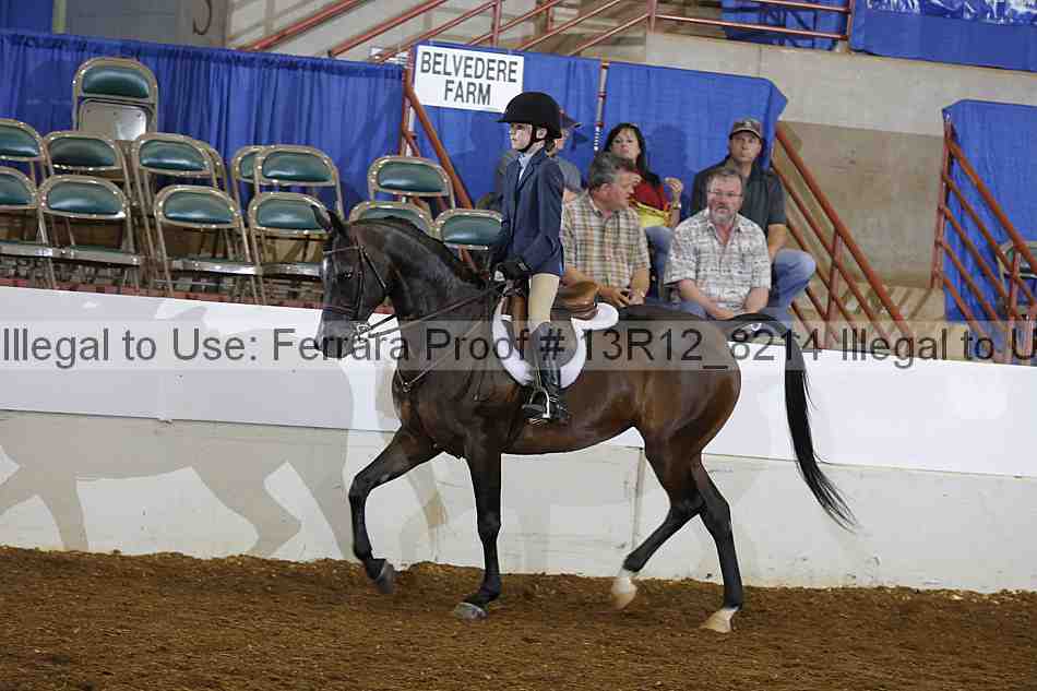 Proof 13r12_8214