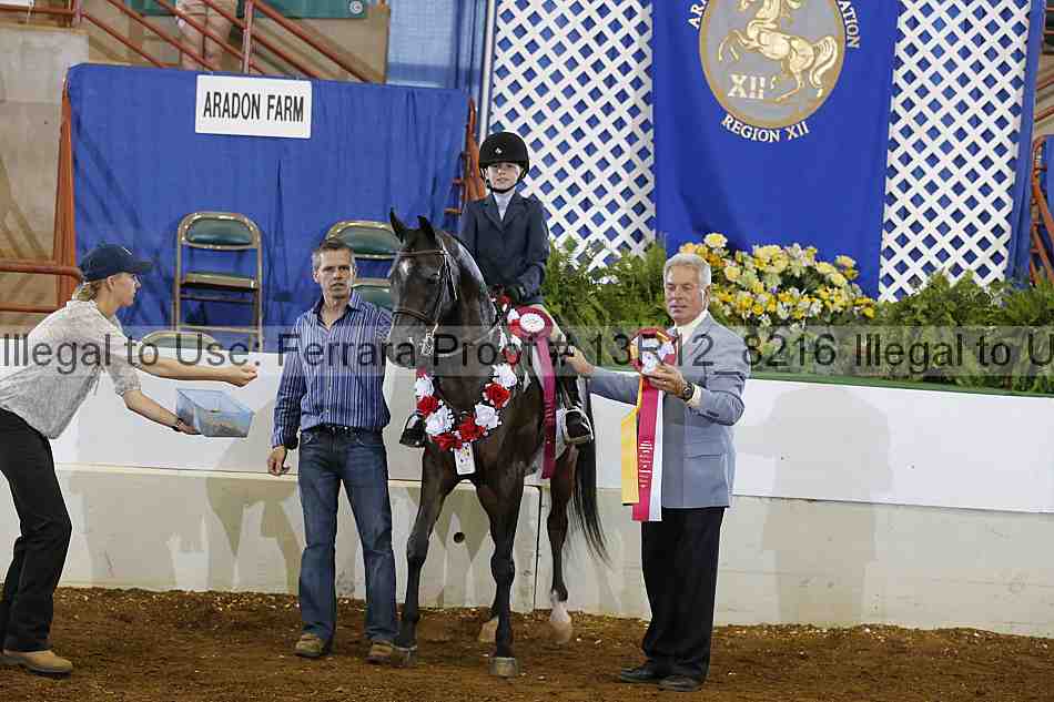 Proof 13r12_8216