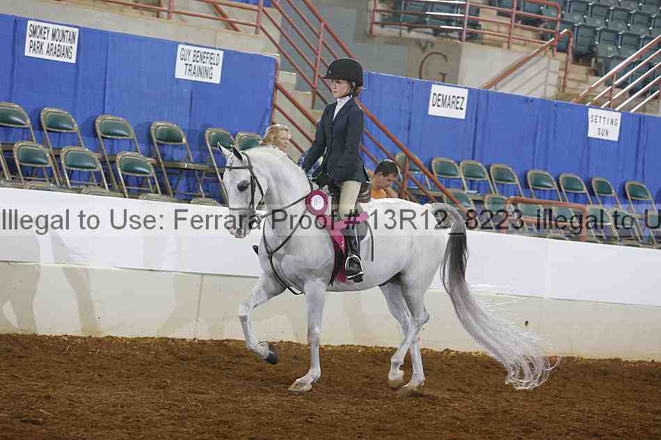 Proof 13r12_8223