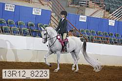 13r12_8223 proof