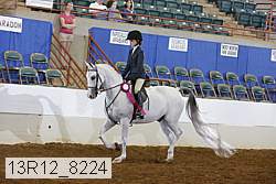 13r12_8224 proof