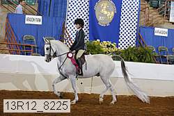 13r12_8225 proof