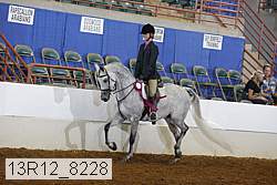 13r12_8228 proof