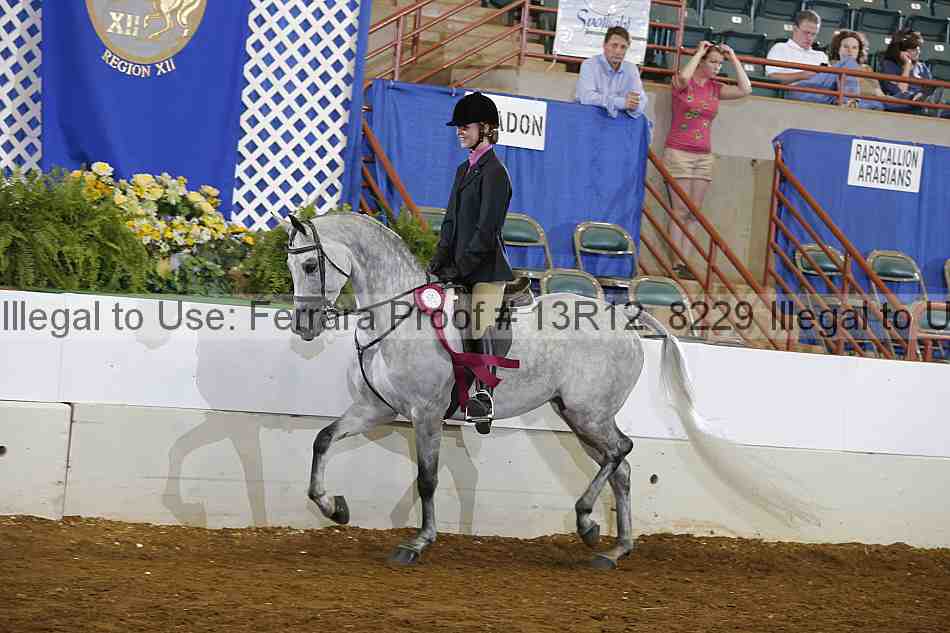 Proof 13r12_8229