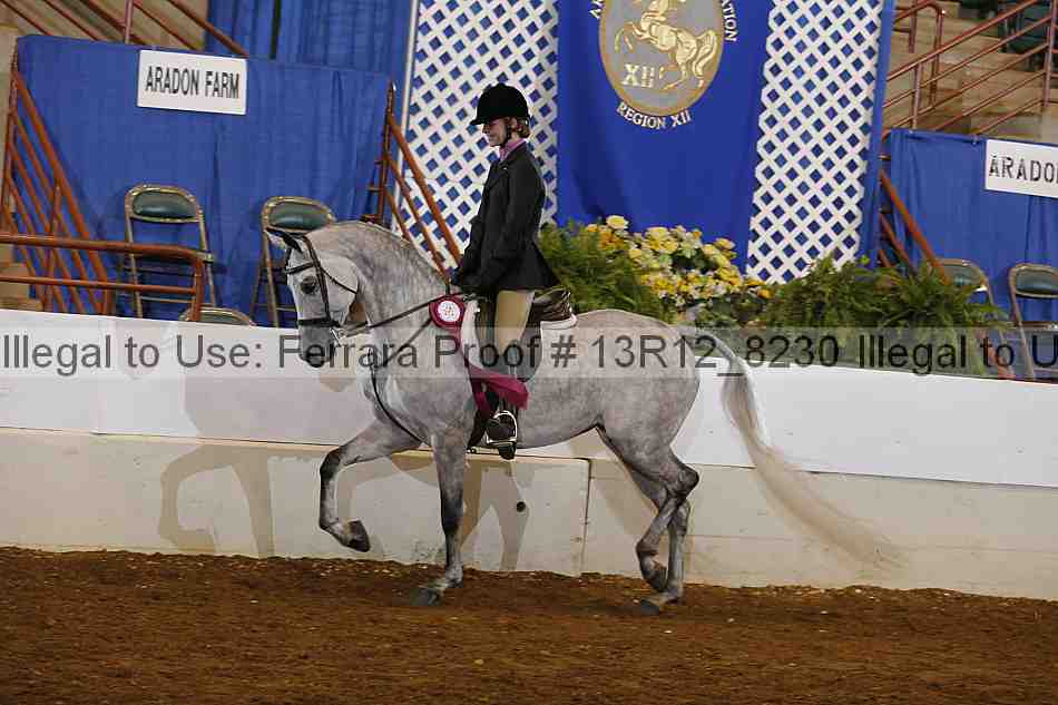 Proof 13r12_8230