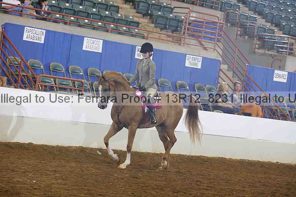 Proof 13r12_8231