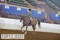 13r12_8231 proof