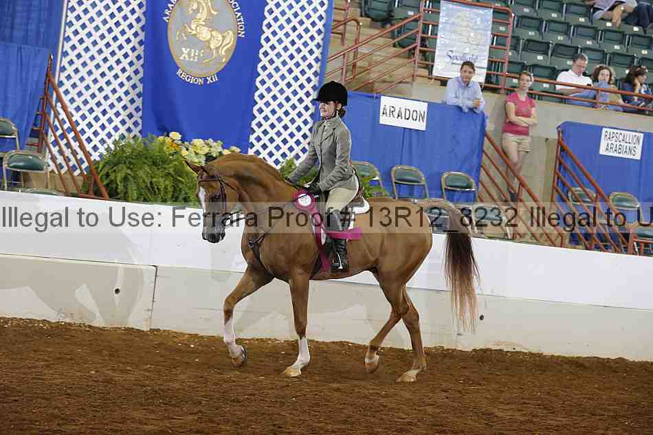 Proof 13r12_8232