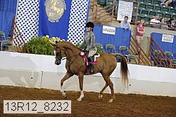 13r12_8232 proof