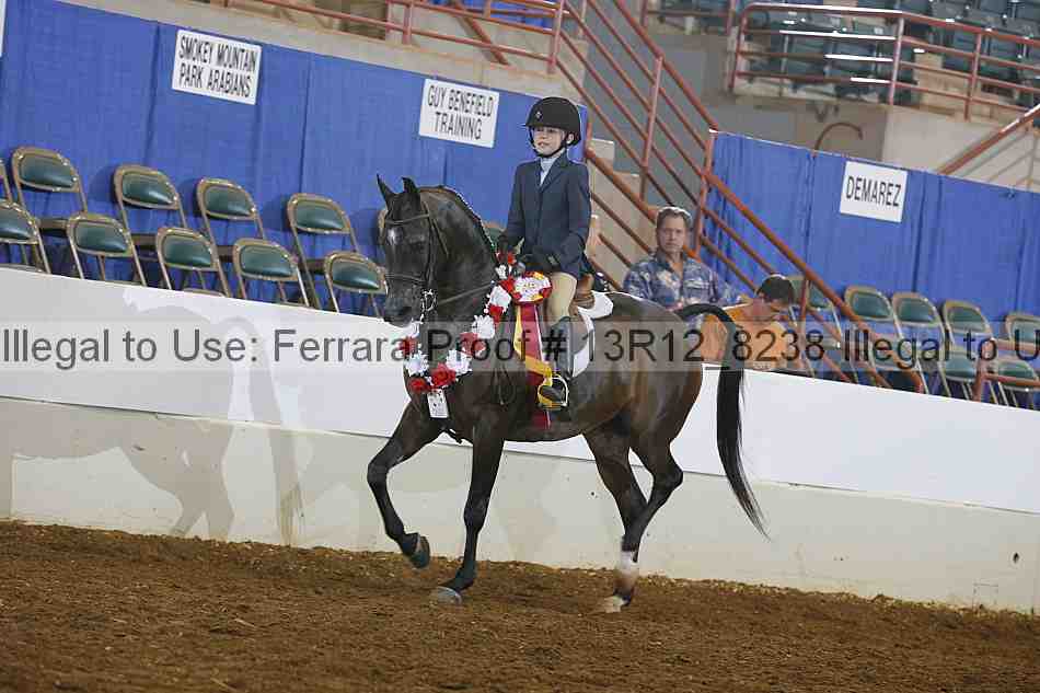 Proof 13r12_8238