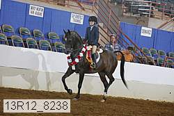 13r12_8238 proof