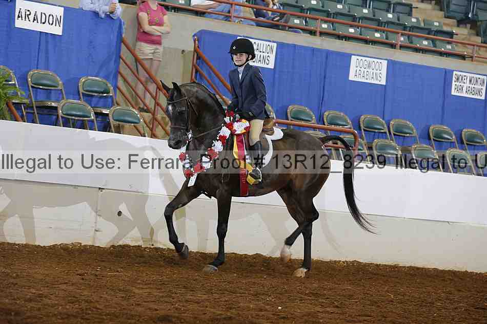 Proof 13r12_8239