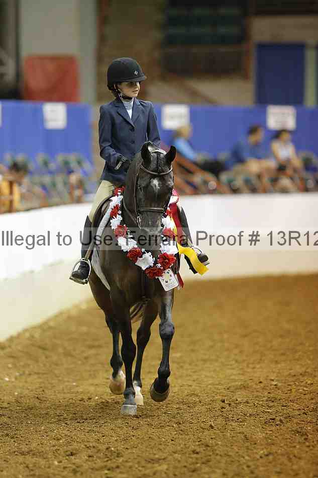 Proof 13r12_8243