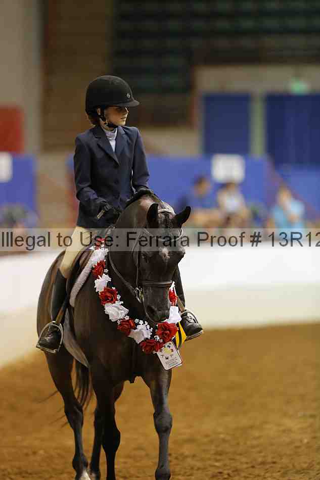 Proof 13r12_8244