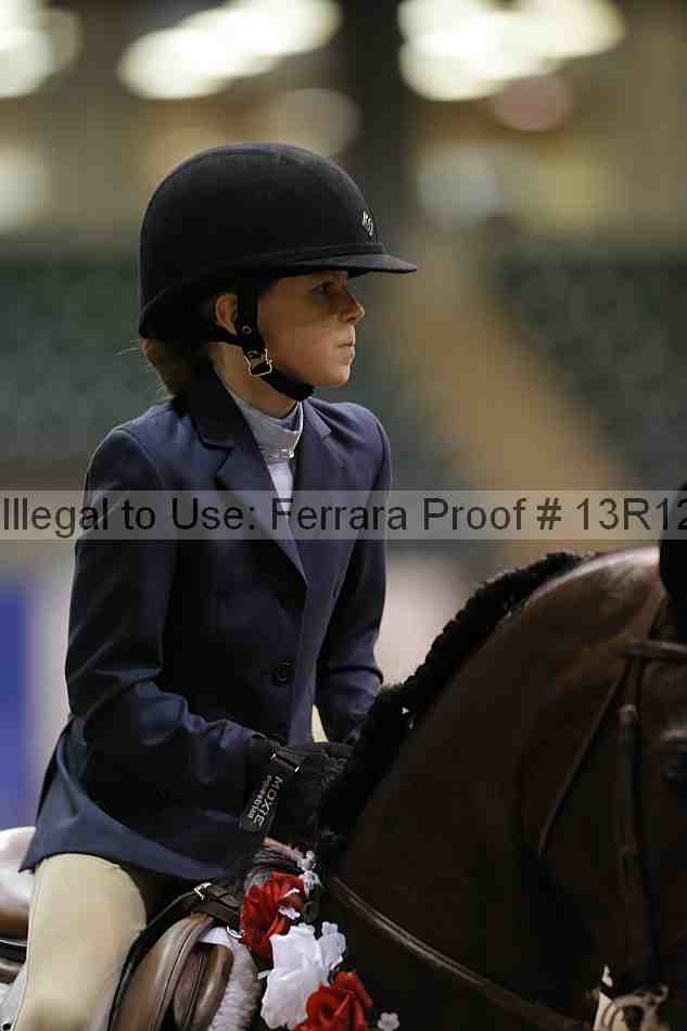Proof 13r12_8249