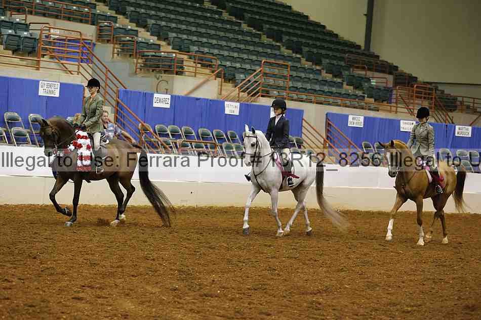 Proof 13r12_8256