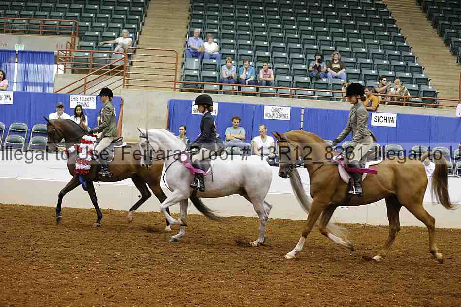 Proof 13r12_8261