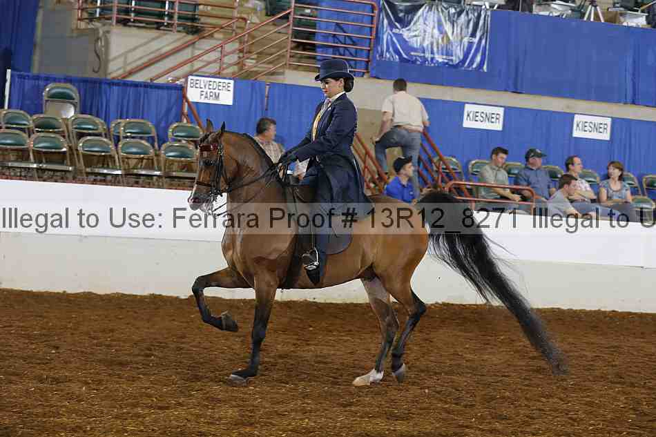 Proof 13r12_8271