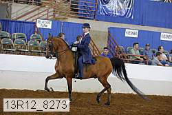 13r12_8273 proof