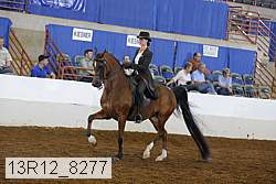 13r12_8277 proof