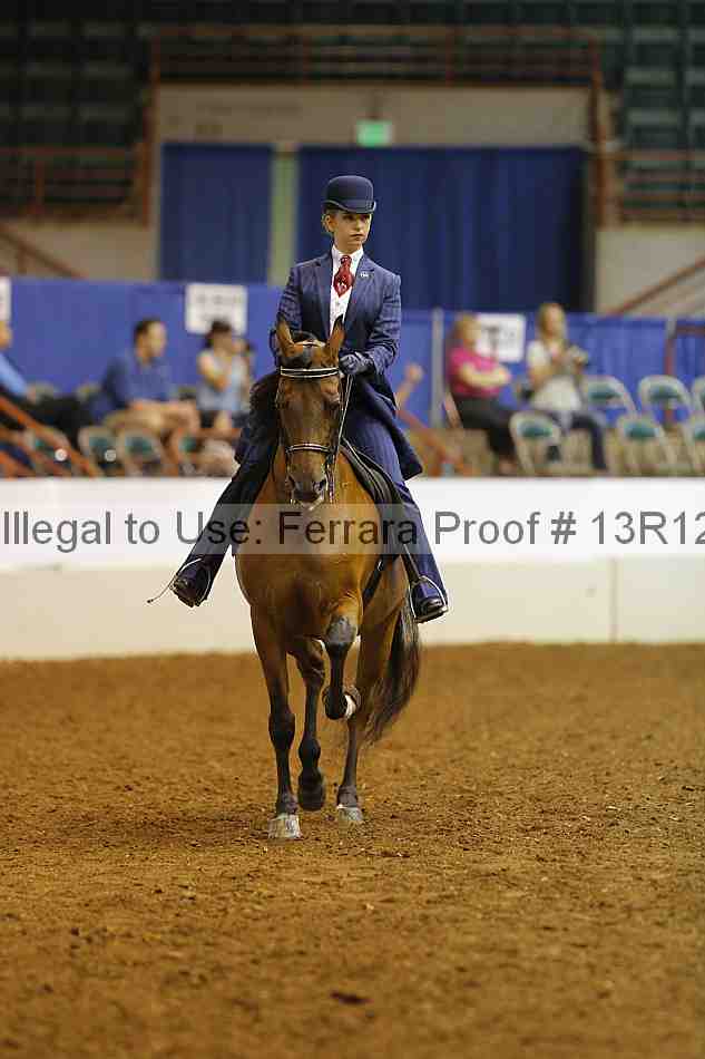 Proof 13r12_8281