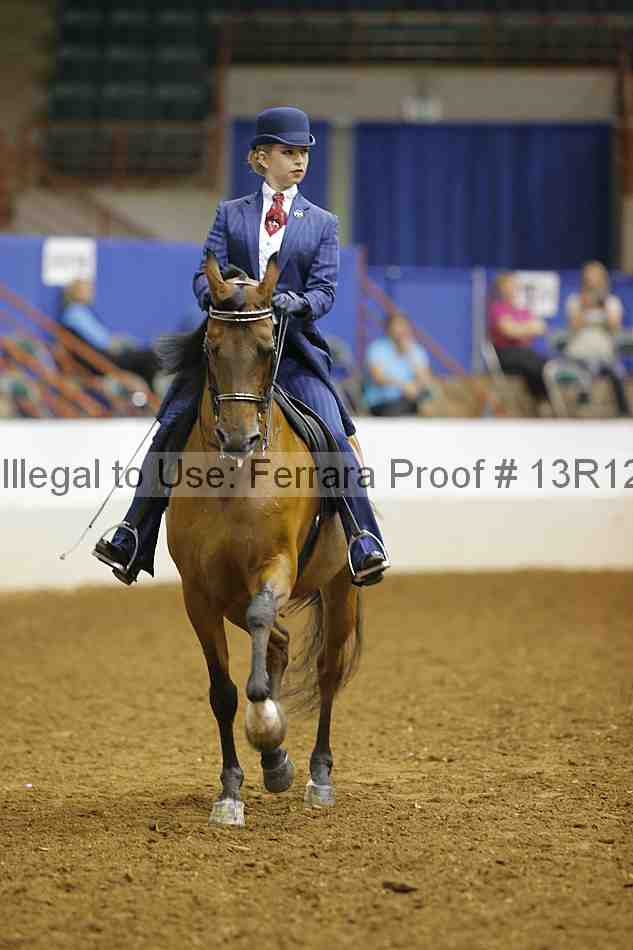 Proof 13r12_8282