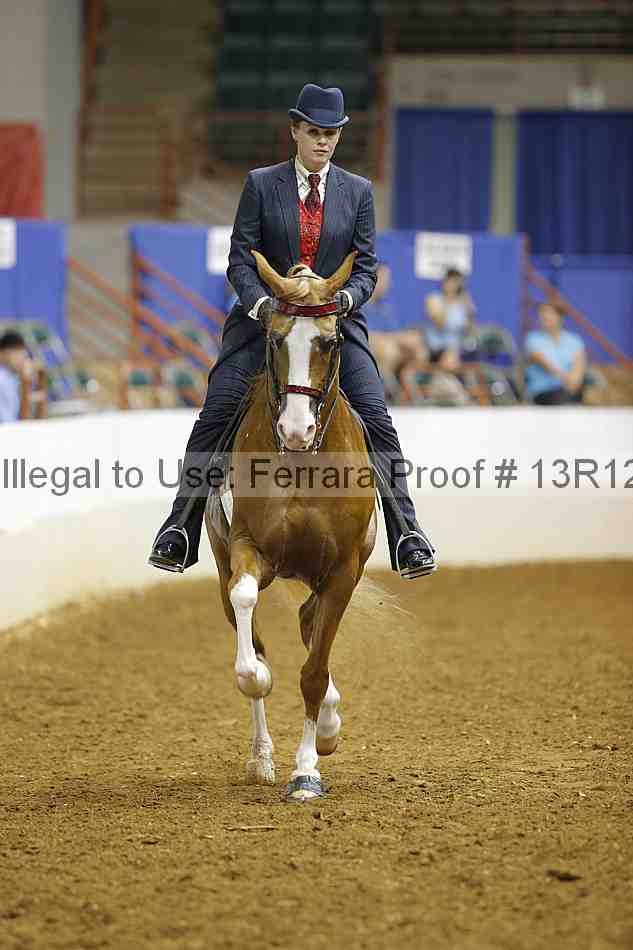 Proof 13r12_8285