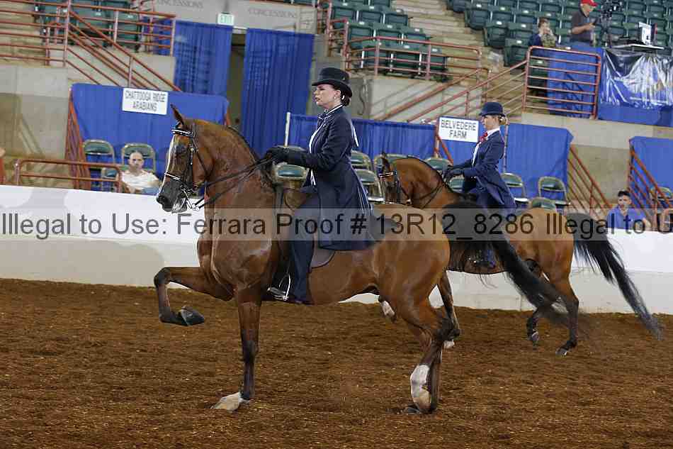 Proof 13r12_8286