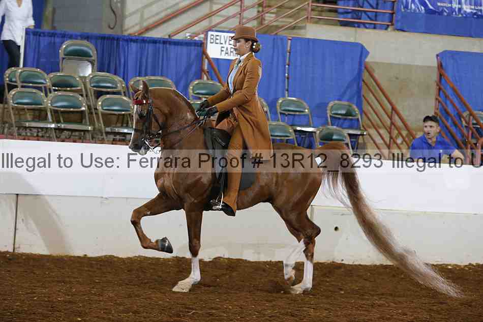 Proof 13r12_8293