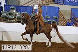 13r12_8293 proof
