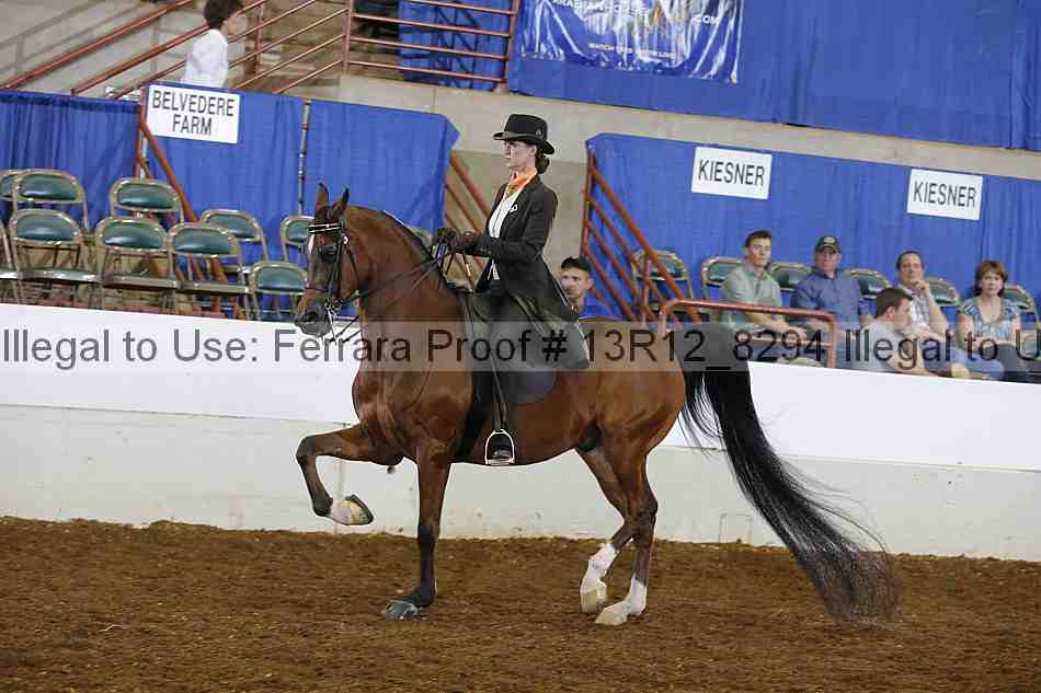Proof 13r12_8294