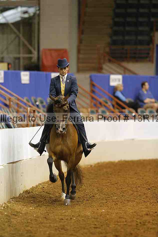 Proof 13r12_8295