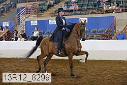 13r12_8299 proof