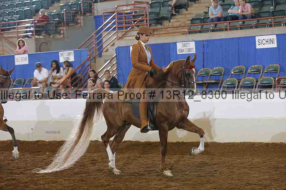 Proof 13r12_8300