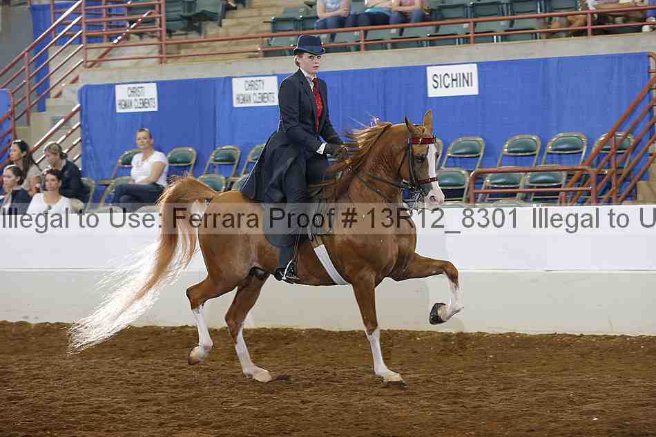Proof 13r12_8301