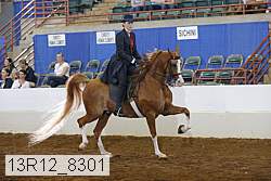 13r12_8301 proof