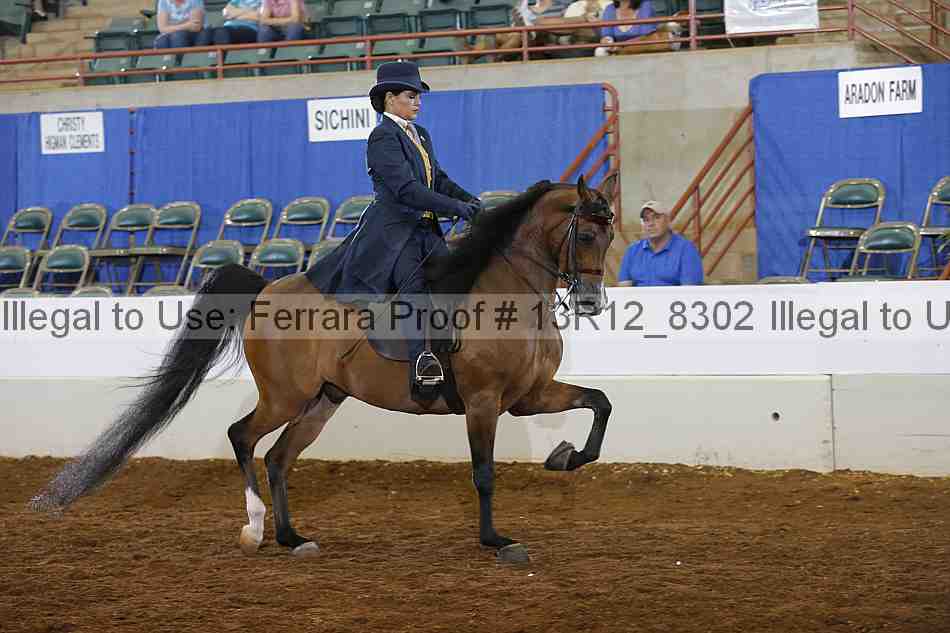 Proof 13r12_8302