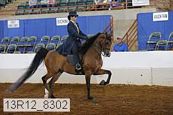 13r12_8302 proof