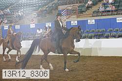 13r12_8306 proof