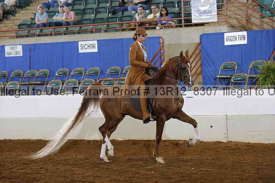 Proof 13r12_8307