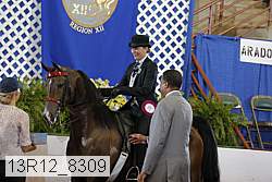 13r12_8309 proof
