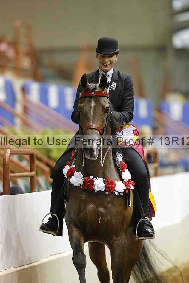 Proof 13r12_8312