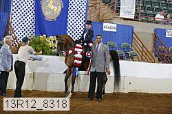 13r12_8318 proof