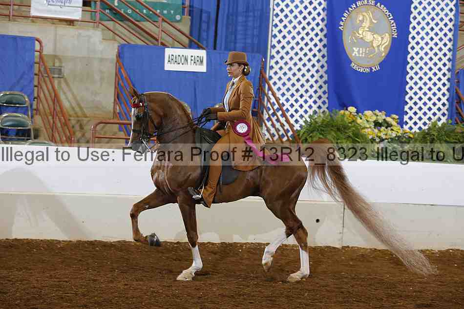 Proof 13r12_8323