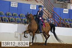 13r12_8324 proof